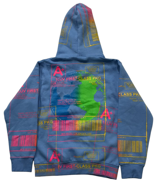 Earth Blessings Hoodie (Size Small)