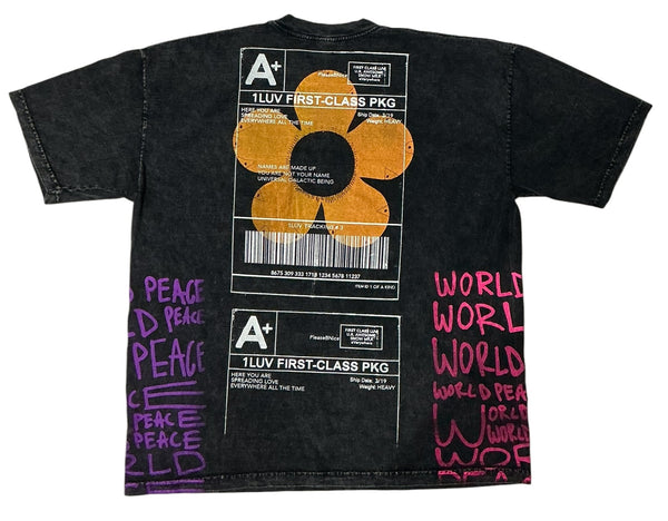 World Peace 6.5oz Tee (Size 2XL)