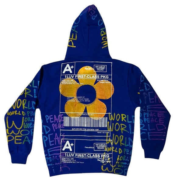 World Peace Hoodie (Size Small)