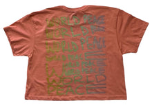 Load image into Gallery viewer, World Peace Crop Top (Size Small)
