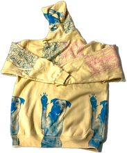 Load image into Gallery viewer, Cats and Dogs Hoodie (Size Large)
