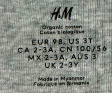 Load image into Gallery viewer, Earth Blessings Kids Onesie (Size Kids 3T)
