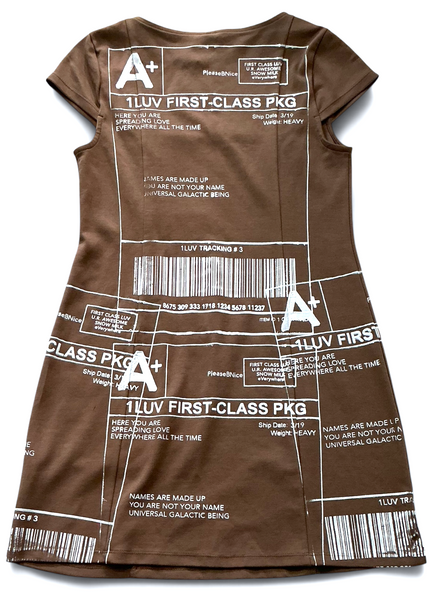 The Positive Shipping Label Dress (Size Small)