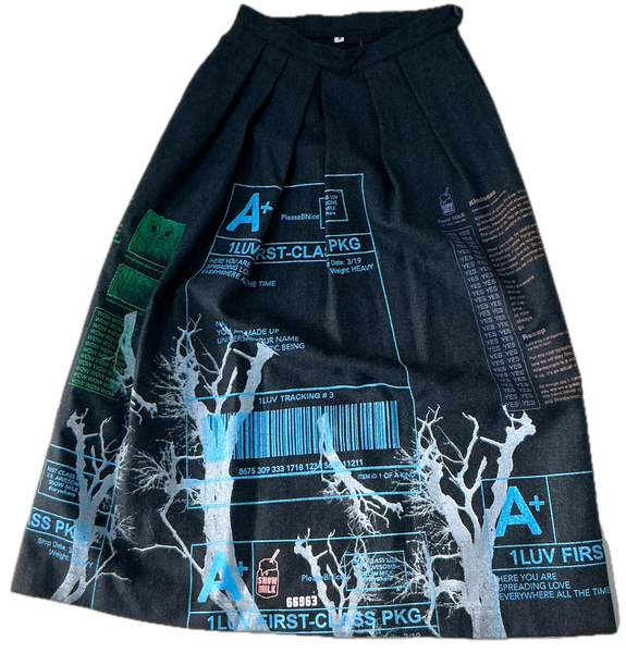 Backwards In The Day Skirt (Size 4)