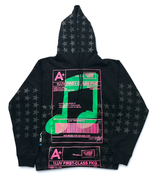 Music Notes Hoodie (Size Small)