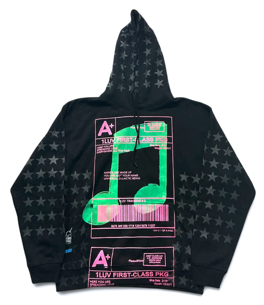 Music Notes Hoodie (Size Large)