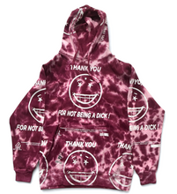Load image into Gallery viewer, Thank You For Not Being A Dick Hoodie (Size Medium)
