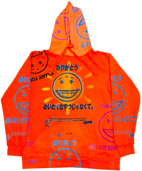 Thank You For Not Being A Dick Hoodie (Size Large)