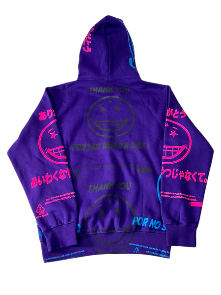 Thank You For Not Being A Dick Hoodie (Size Small)