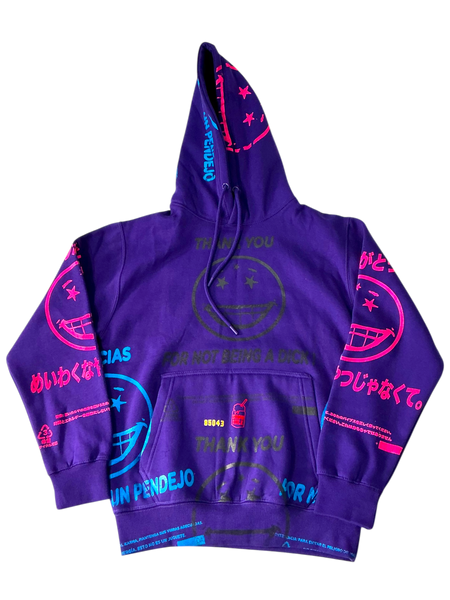 Thank You For Not Being A Dick Hoodie (Size Small)